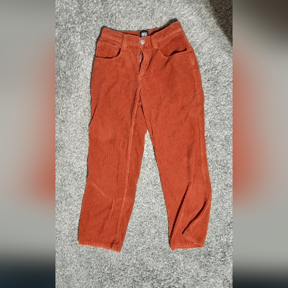 Urban outfitters BDG corduroy pants size 6/ 26